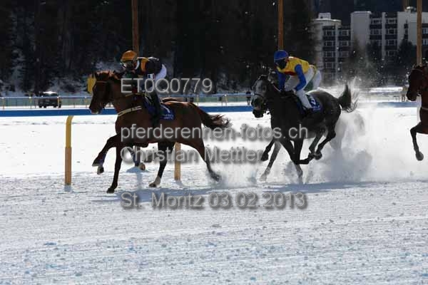 ET0Q0779 prot